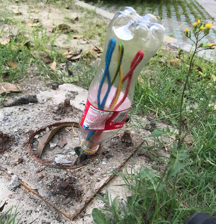 Hey, Can You Take Care Of These Live Wires? Sure Thing Boss