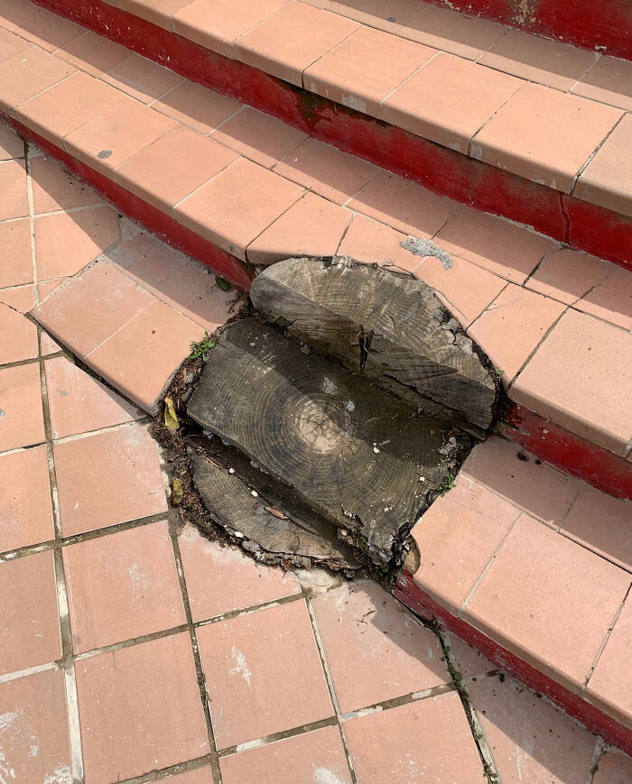 The Staircase Is Complete, Boss