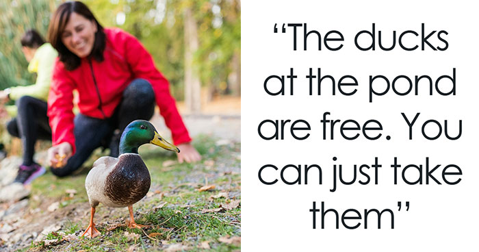 Ready For Your Brain To Get Tickled? 44 Wild Facts That’ll Flip Your World Upside Down