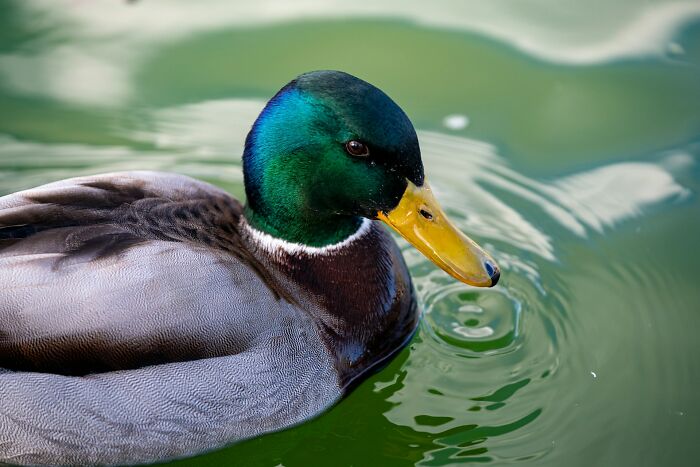 Ready For Your Brain To Get Tickled? 44 Wild Facts That’ll Flip Your World Upside Down