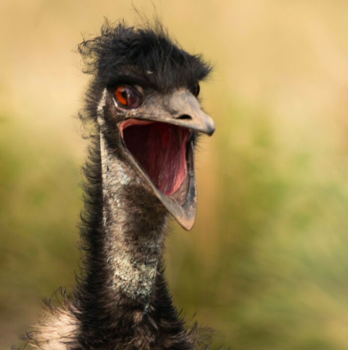 Ready For Your Brain To Get Tickled? 44 Wild Facts That’ll Flip Your World Upside Down