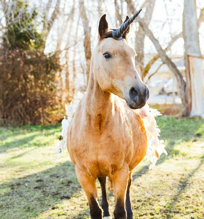 Ready For Your Brain To Get Tickled? 44 Wild Facts That’ll Flip Your World Upside Down