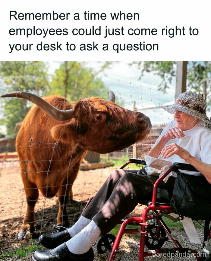 Wait, They Actually Made Memes About HR? Prepare to LOL