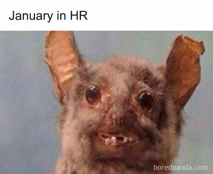 Wait, They Actually Made Memes About HR? Prepare to LOL