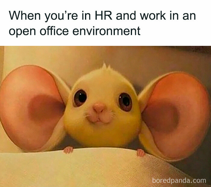 Wait, They Actually Made Memes About HR? Prepare to LOL