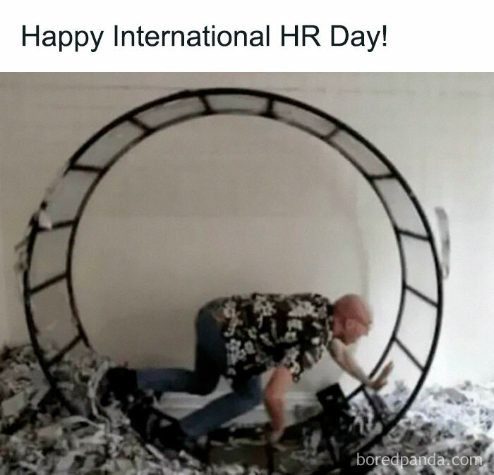 Wait, They Actually Made Memes About HR? Prepare to LOL