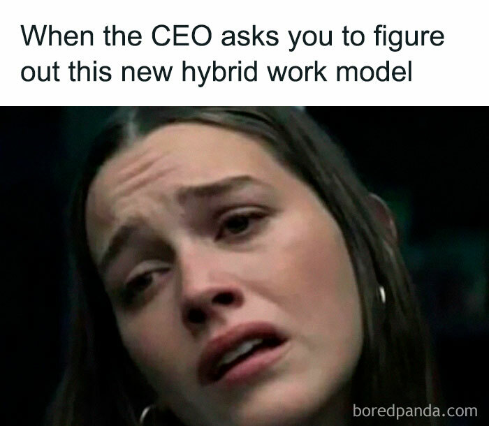 Wait, They Actually Made Memes About HR? Prepare to LOL