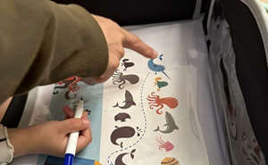 Wait, They Actually Ranked These Black Friday Deals? Prepare to Be Amazed!