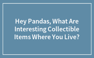 Collecting Cool Stuff: What Weird Treasures Are Hiding Near You?