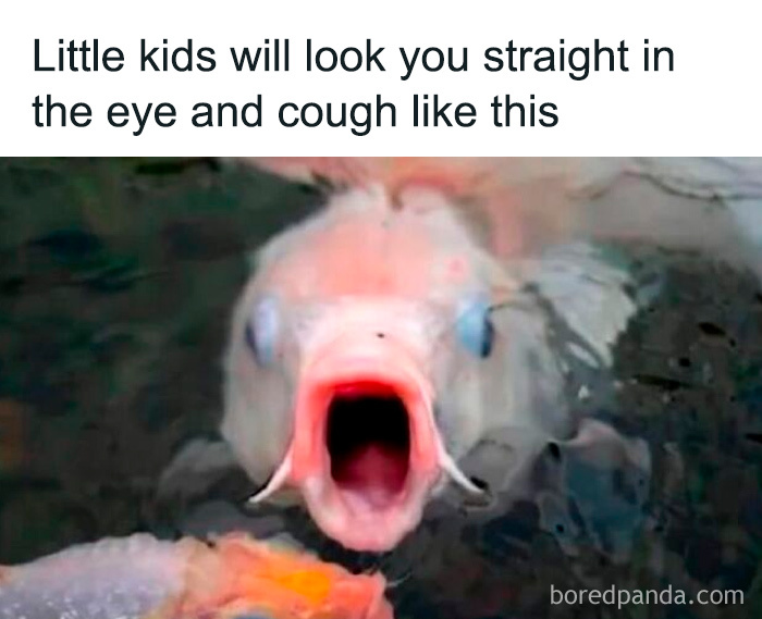 Get Ready to Laugh: 70 Hilarious Memes That Nail Life’s Weird Moments