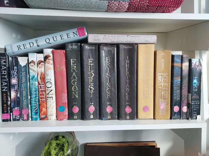 Mom Threw Away My Book Covers Because She Thought They Looked Better Without