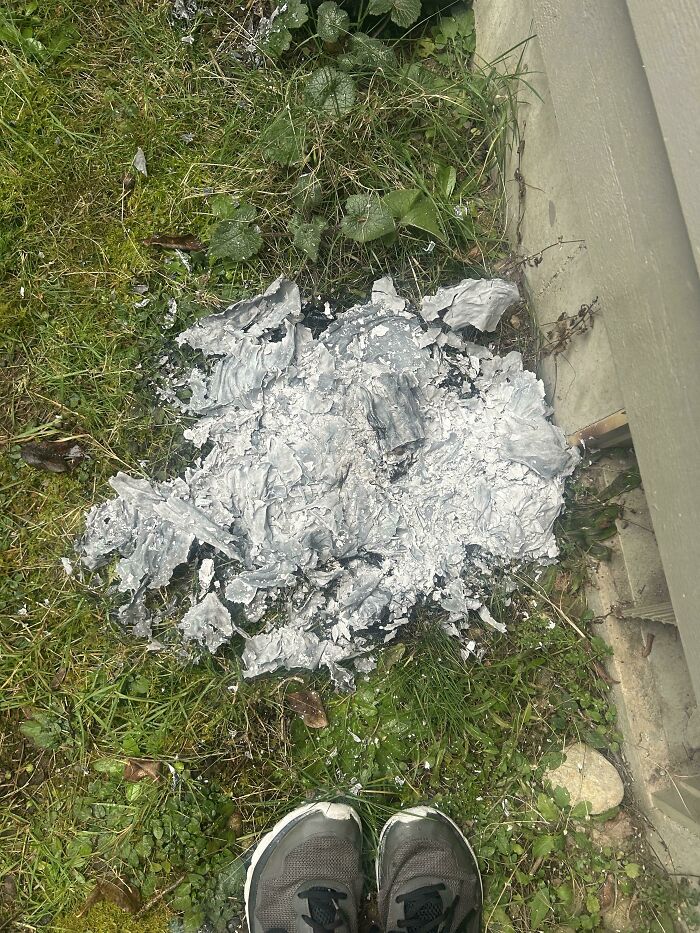 Mom Burned All My Drawings Out Of The Blue