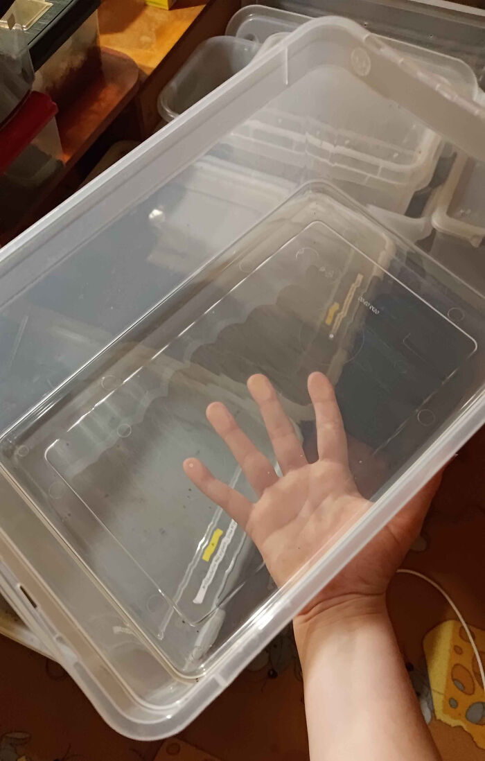 Mom “Cleaned” My Room And Hid My Moss For 10 Minutes