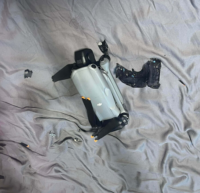 Merry Christmas! Sister’s Dog Broke My Expensive Drone When Nobody Watched