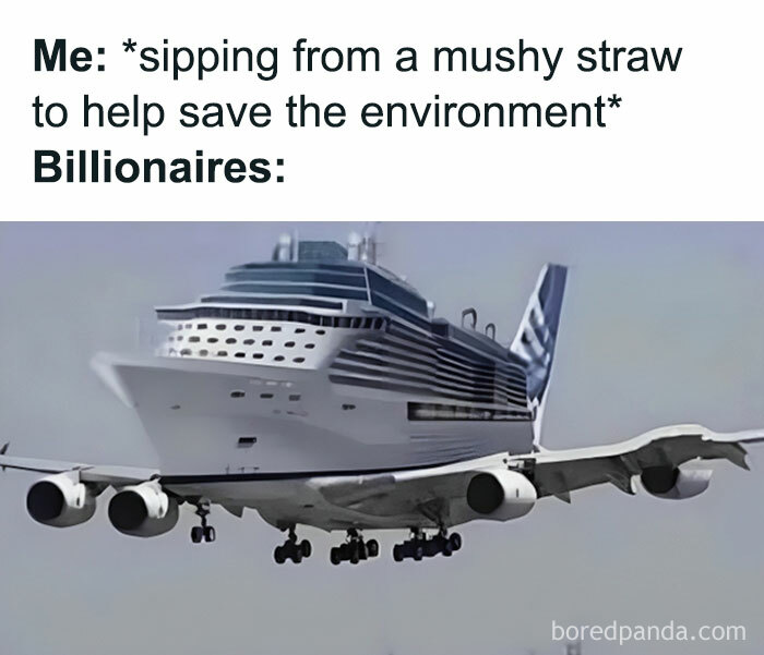 Wait, People Actually Ranked These Memes?!