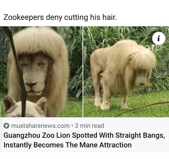 Wait, People Actually Ranked These Memes?!