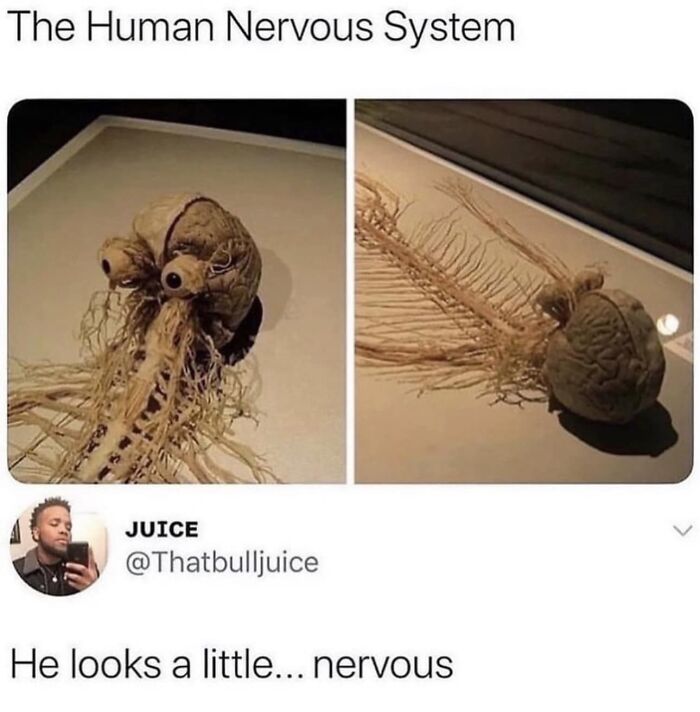 Wait, People Actually Ranked These Memes?!