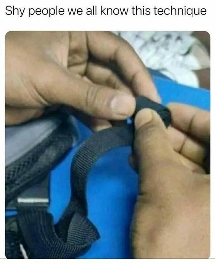 Wait, People Actually Ranked These Memes?!