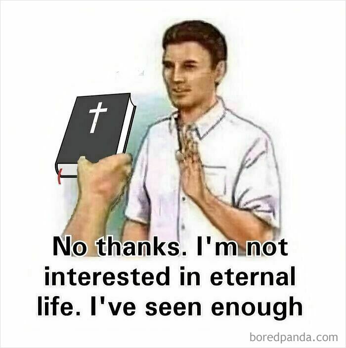 Wait, People Actually Ranked These Memes?!