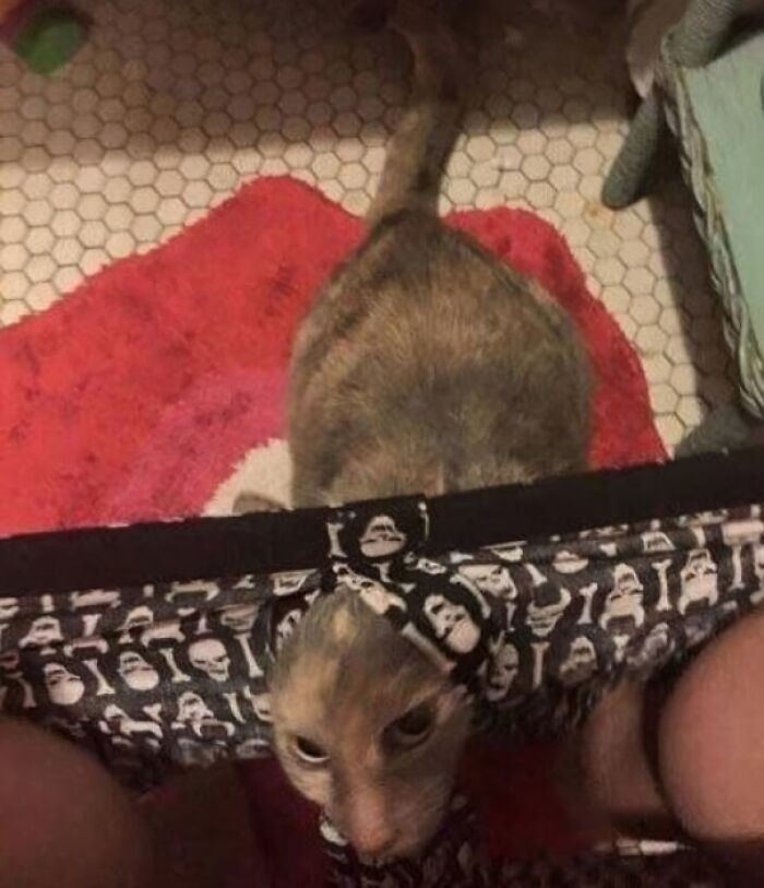 Left the Door Open, Instantly Got Company