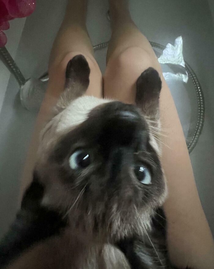 Privacy? What's That? Meet the Shadow Named Zizou