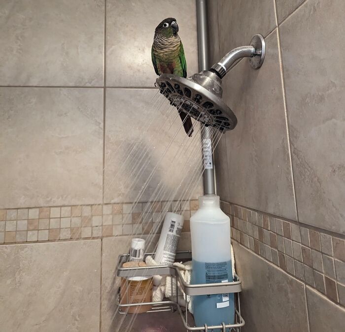 Oh, You Wanted Privacy? Great! Can I Join? No Closed Doors in This House!