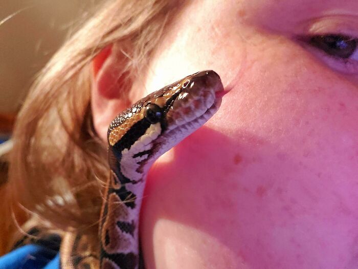 Beauty, Grace, and Zero Sense of Personal Space