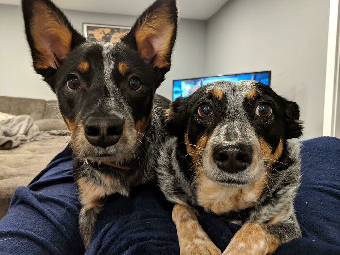 What’s This "Privacy" You’re Talking About?