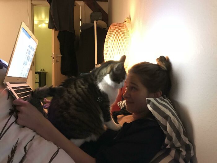 My Flatmate’s Cat Doesn’t Care About Boundaries One Bit