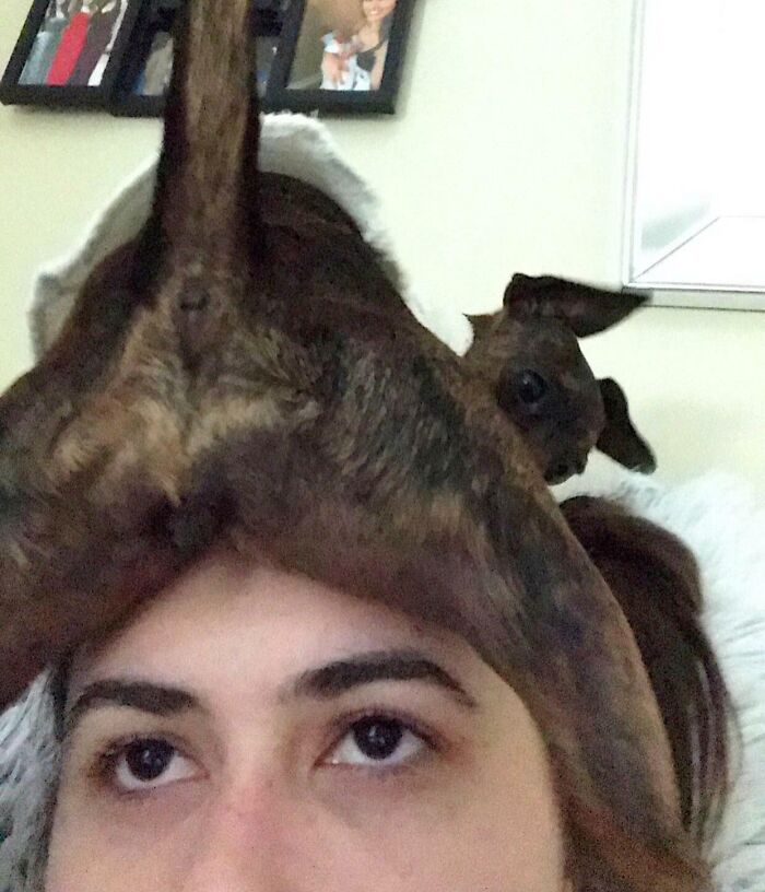 No Personal Space? No Problem! This Is My Morning Wake-Up Call