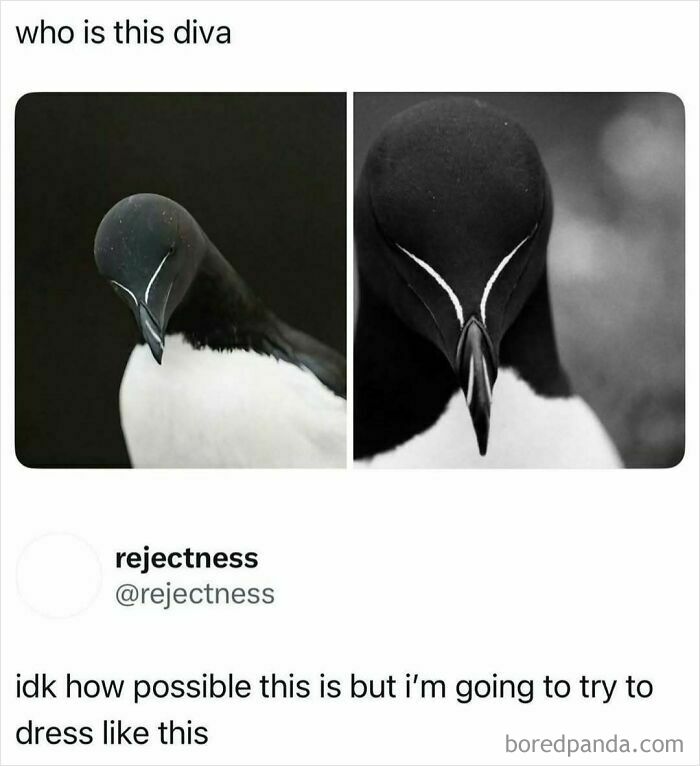 25 Memes That Nail How Getting Ready Actually Goes