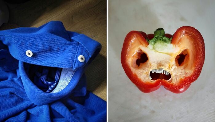 Wait, These Everyday Things Totally Look Like Something Else!