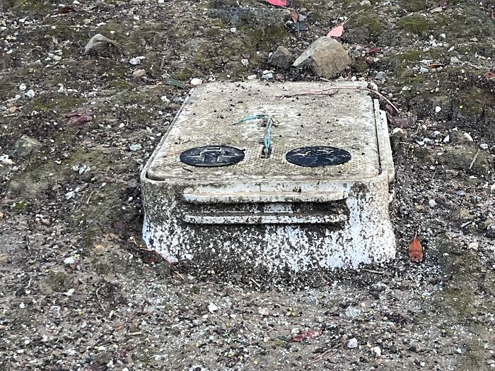 The Food Is Calling Me...