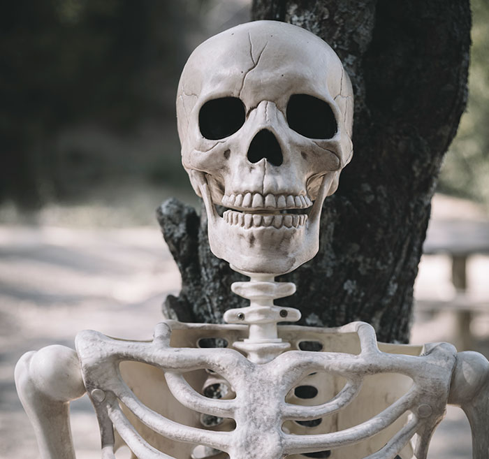 Let's Dive Into 46 Mildly Disturbing Facts That'll Make You Go "Wait, What?!"