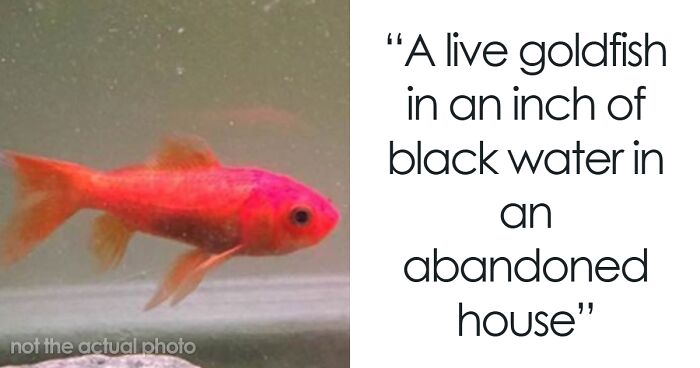 The 50 Creepiest Finds Urban Explorers Swear Still Haunt Them