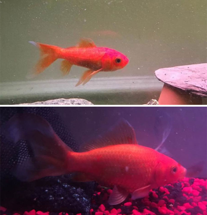 The 50 Creepiest Finds Urban Explorers Swear Still Haunt Them