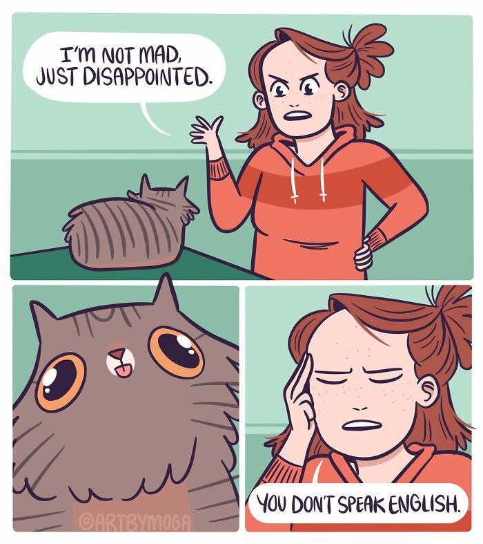 Meet Meg Adams: The Queen of Turning Everyday Chaos into Comedy Gold