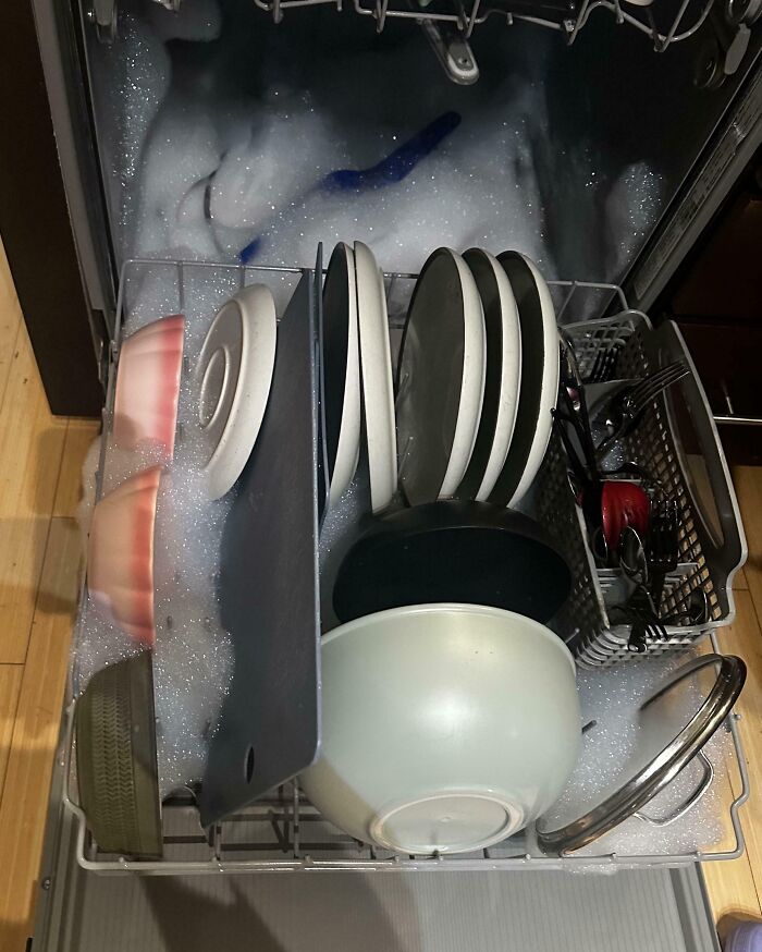 Roommate Thought Dish Soap Goes In The Dishwasher