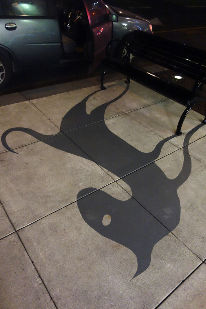 Wait Till You See These Shadows Doing Things You’d Never Expect!