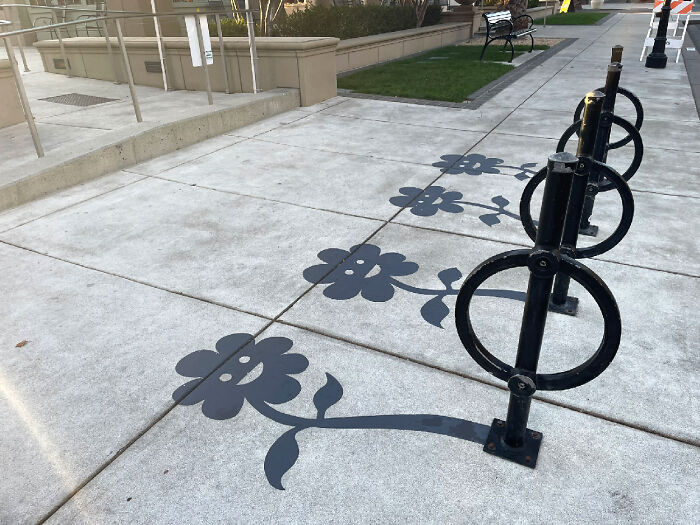 Wait Till You See These Shadows Doing Things You’d Never Expect!