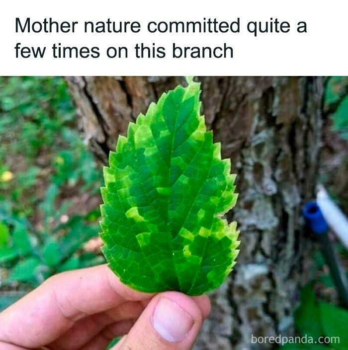 Now That’s Impressive!