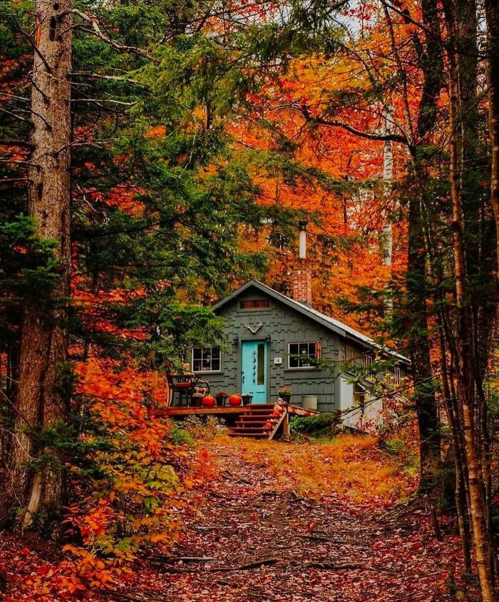 Chillin' Off Grid In Lincoln, New Hampshire Cabin