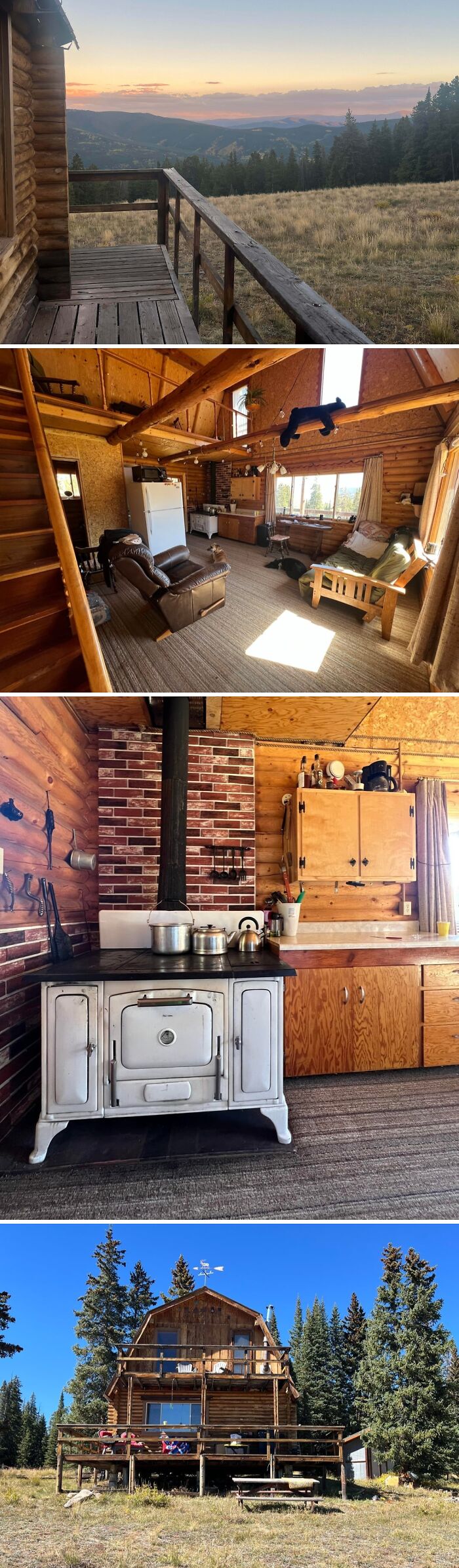 Just Bought My 11,000 Ft Colorado Off-Grid Cabin!