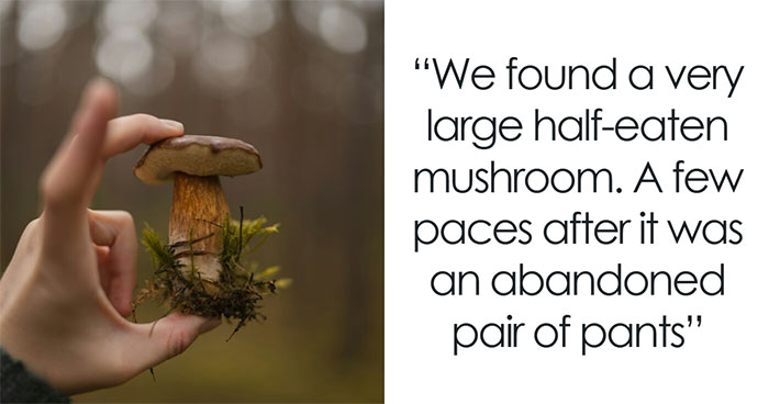 The Wildest, Weirdest, and Just Plain Creepy Tales From National Park Workers