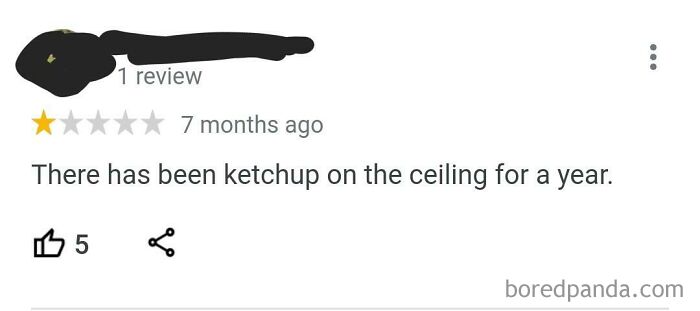 Found This Gem In My Old High School’s Google Reviews