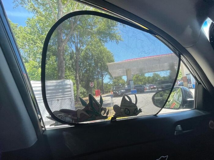 Shush the Sunshine with These Easy-Peasy Car Window Shades