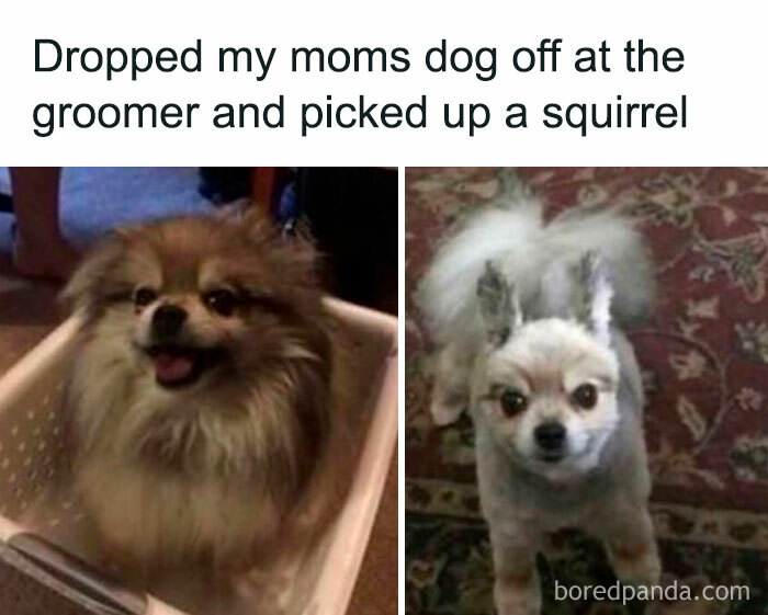 Memes That'll Make You Laugh So Hard You'll Snort