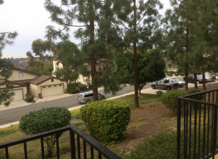 Wait, People Actually Lived Through This?! The Most WTF Real-Life Scary Stories