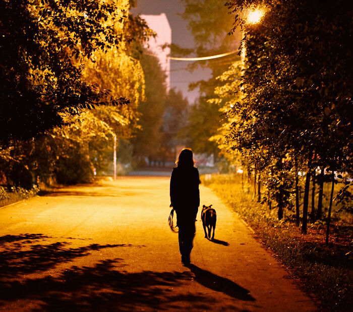 Wait, People Actually Lived Through This?! The Most WTF Real-Life Scary Stories