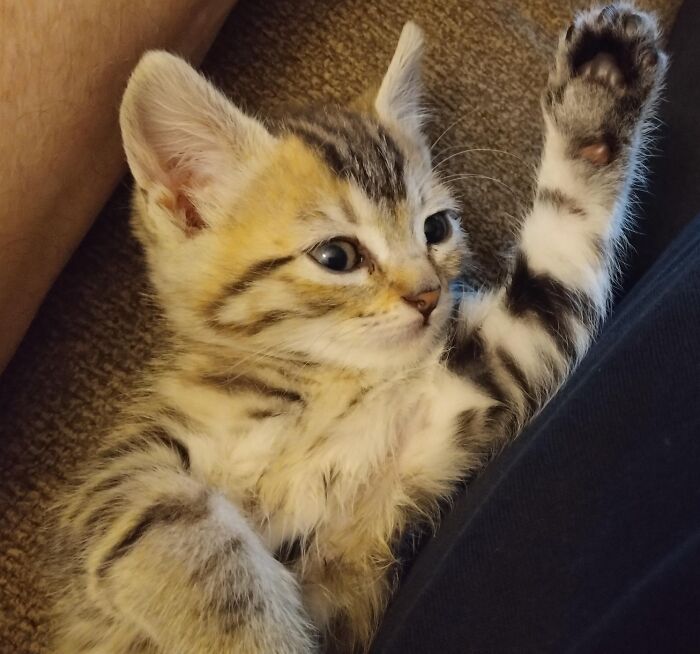 My Comfort in One Snapshot